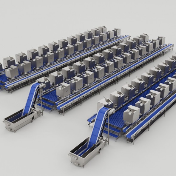 Shrimp Peeling Machine Line