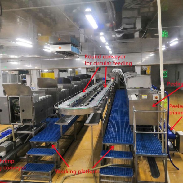 Shrimp Peeling Machine Line
