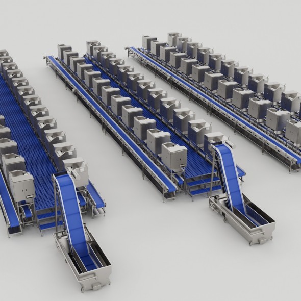Shrimp Peeling Machine Line