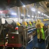 Shrimp Peeling Machine Line