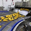 Electric Heating Fryer Electric Heating Fryer