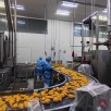 Electric Heating Fryer Electric Heating Fryer