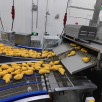 Electric Heating Fryer Electric Heating Fryer